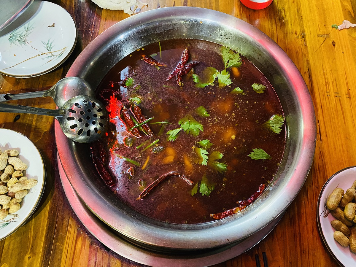 家に生きたまま天然記念物オオサンショウウオ 養殖 が届く 焦りまくって火鍋屋へ 広元市青渓古鎮は野生生物の宝庫なんです